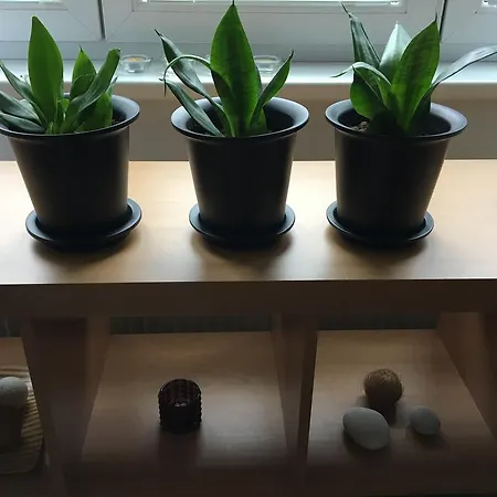 Apartman Vodna 4 Košice